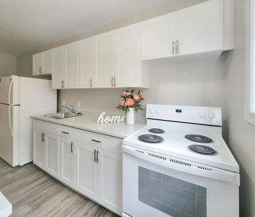 Sienna Apartments - Photo 4