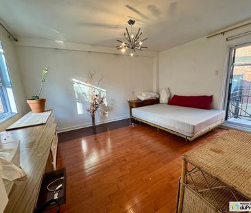 108, Rue Napoleon, Le Plateau-Mont-Royal à louer - Photo 4