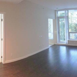 1 Bed + Large Den at UBC Wesbrook Village with AC! - Photo 4