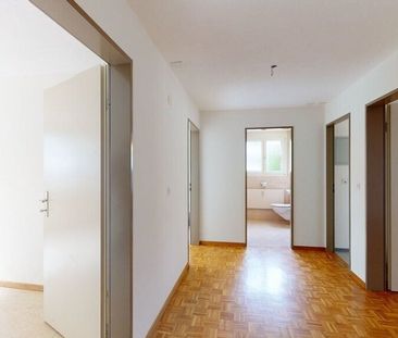 Ensoleillé, en ville, au bord du lac - Photo 3