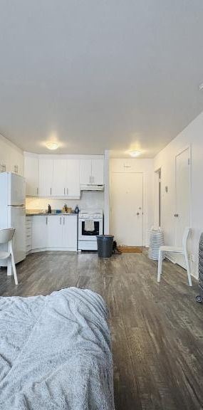 Loft entièrement meublé à louer Sainte-Foy / Sillery août 2026 - Photo 1