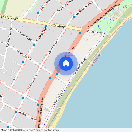 25 General Holmes Drive, NSW 2216, Brighton-Le-Sands