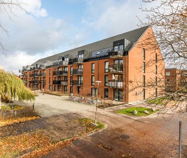 Malcusgatan, Halmstad - Photo 1