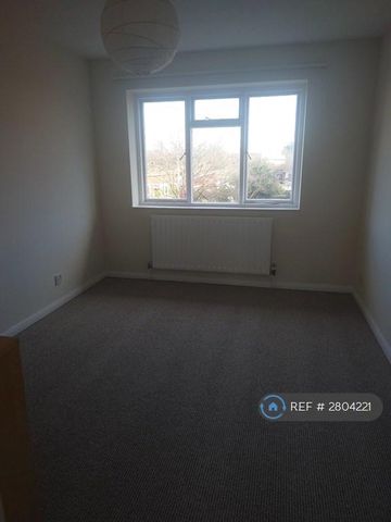 3 bedroom maisonette to rent - Photo 3
