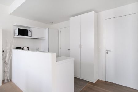 Knap 1-slaapkamer appartement op ’t Eilandje - Foto 2