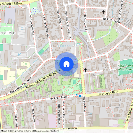 Boulevard Eugène Réguillon, Francja, Villeurbanne