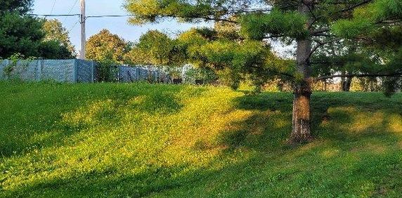 appartement 3/2 en rez de jardin a louer a PAT - Photo 2