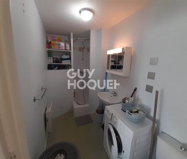 Location Appartement 1 pièce 20m² - Photo 3