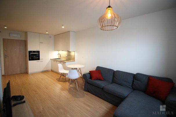 MIESZKANIE na WYNAJEM - Photo 1