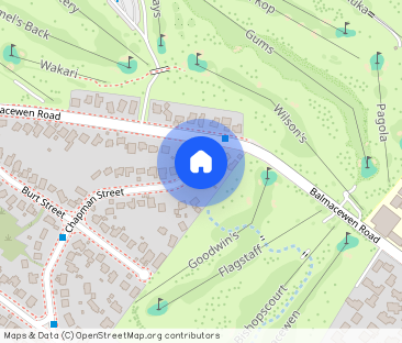 160 Chapman Street, Wakari - Photo 1