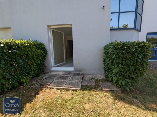 Location Appartement 1 pièce 19m² FONTAINE LES DIJON 21121 - Photo 1