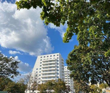 Penthouse - Erstbezug. - Foto 1