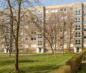 Schöner Wohnen: günstig geschnittene 2-Zimmer-Wohnung - Photo 1