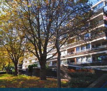 Room in a Shared Flat, Trevelyan House, SE5 - Photo 5