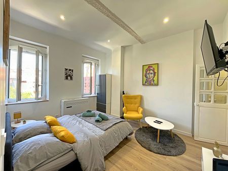 TOULOUSE - SUD GUILHEMERY - studio de 25,58 m² lumineux avec climatiseur, - Photo 4
