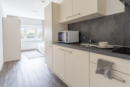 Hoptillepad en Horstenberg - Photo 5