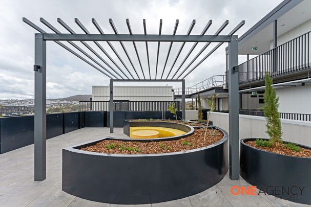 J220/3 Carden Street, Denman Prospect ACT 2611 - Apartment For Rent | Domain - Photo 1