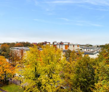 Zur Miete: Ruhige Wohnung mit schönem Blick - Foto 1