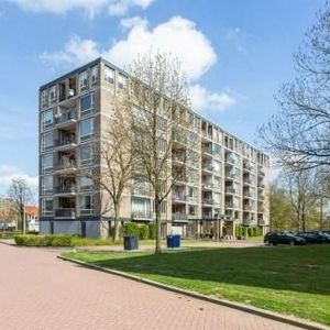 Neerstraat, 5215 AL 's-Hertogenbosch, Nederland - Foto 2