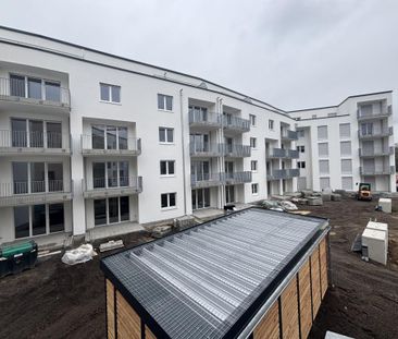 4-Zimmer Neubauwohnung in Altenbochum mit WBS - Photo 5