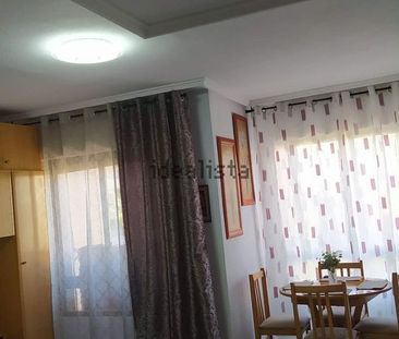 Alquiler de estudio en la sal, 27 - Photo 4