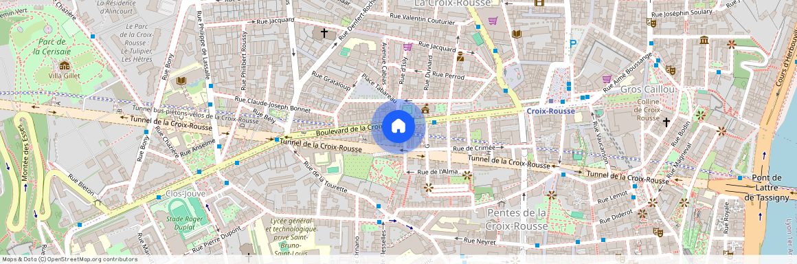 110 BD DE LA CROIX ROUSSE, LYON 1ER ARRONDISSEMENT Normale-Chartreux