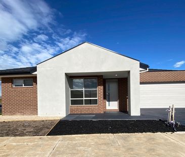 9 Sedge Street, Mambourin - Photo 6