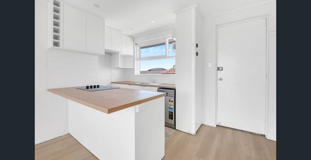 Sun-soaked north-facing 1-bedroom apartment - Photo 1