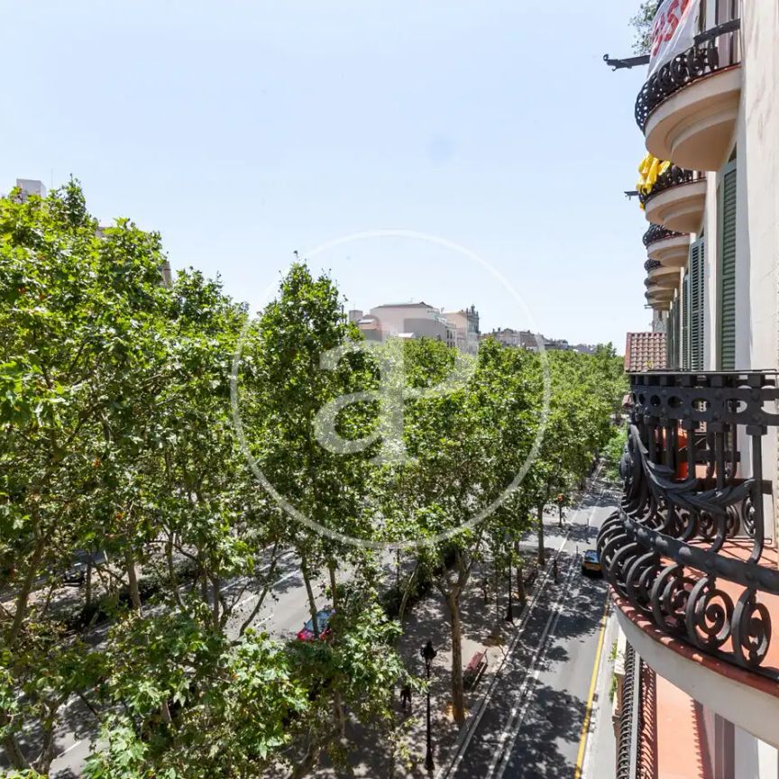 Piso de alquiler en Gran Via de Les Corts Catalanes, La Nova Esquerra de l'Eixample - Photo 1