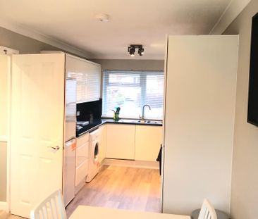 Viking Room 1 - Photo 1