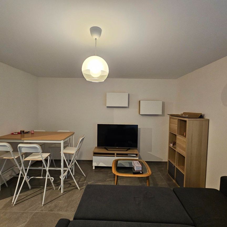 T3 TRIPLEX - 28 Rue Aimée Recquet - 38000 GRENOBLE - Photo 1
