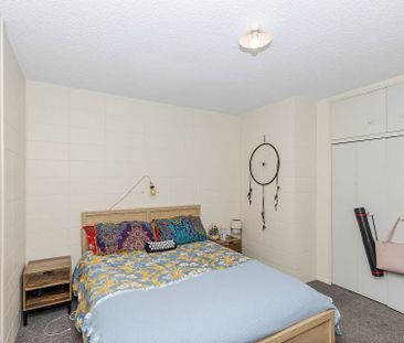 Chic 1BR Apartment in Whitiora! - Photo 3