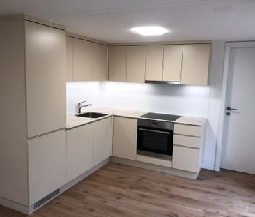 WHG 1: 2.5-Wohnung EG links - Photo 4