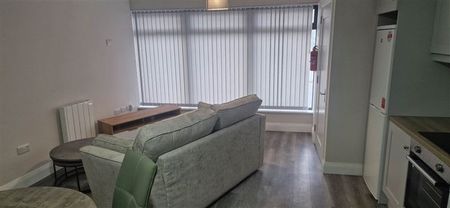 3b Lower William Street, Athy, County Kildare, R14 ET26 - Photo 3