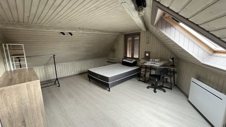 Location Appartement 1 pièce 18m² REMIREMONT 88200 - Photo 2