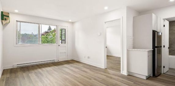 1 CH - 1 SDB - Montréal - $1,345 /mo - Photo 2