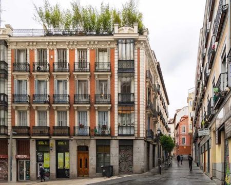 Calle de la Flor Alta, Madrid, Community of Madrid 28013 - Photo 4