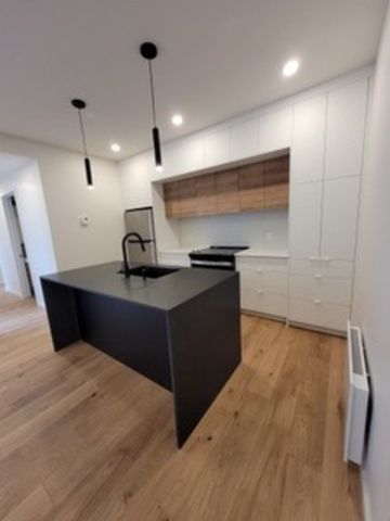 2138 Rue du Centre, Montréal (Le Sud-Ouest), QC H3K - Photo 4