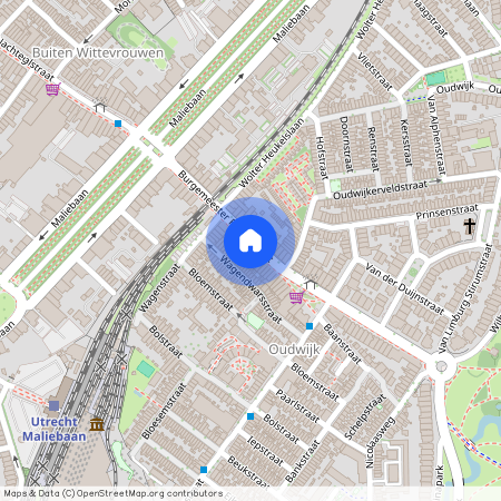 Burgemeester Reigerstraat 27 -5, 3581KK Utrecht