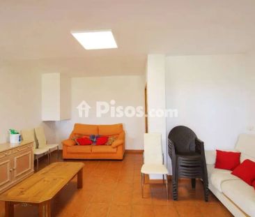 Casa en alquiler en Pinos de Alhaurín - Photo 3