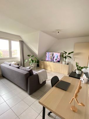 Spreeuwenstraat 6 0202, 3010 Kessel-Lo - Photo 1