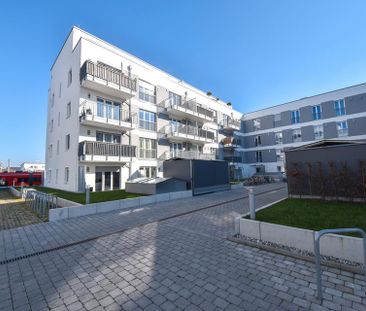 DIETZ: Moderne und helle 3-Zimmerwohnung im EG! mit 2 TG-Stellplätz... - Photo 1