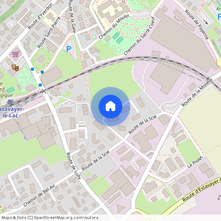 1470, Estavayer-le-Lac, Chemin Des Fontany