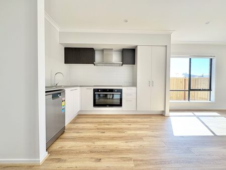 Brand New Comfort & Style in Charlemont - Photo 5