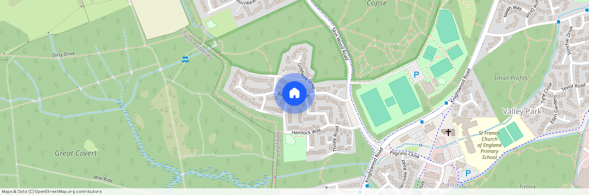 Blencowe Drive, Chandler's Ford, SO53