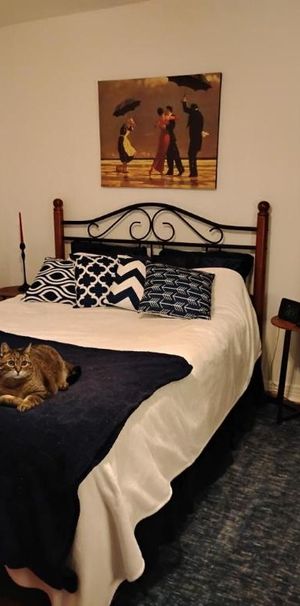 4 1/2 - Montréal (Montréal-Nord) - 1 520 $/mois - Photo 1