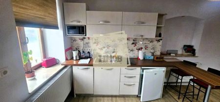 Apartament 80mp divizat in 2 studio-uri | gradina | pivnita | Ultracentral - Fotografie 3