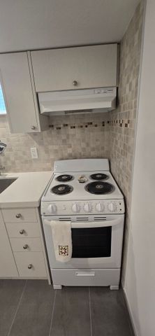 For Lease - 209 Saint Lucie Drive Unit# Basement, Toronto, Ontario - Photo 2