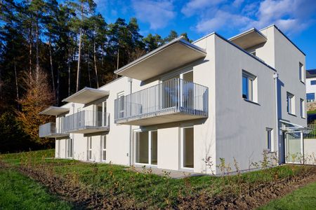 Schöne 3-Zimmer-Wohnung im Erdgeschoss mit Garten - Photo 5