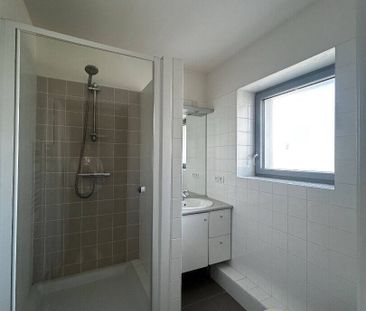 Location maison 5 pièces 118.65 m² à Le Havre (76620) - Photo 4